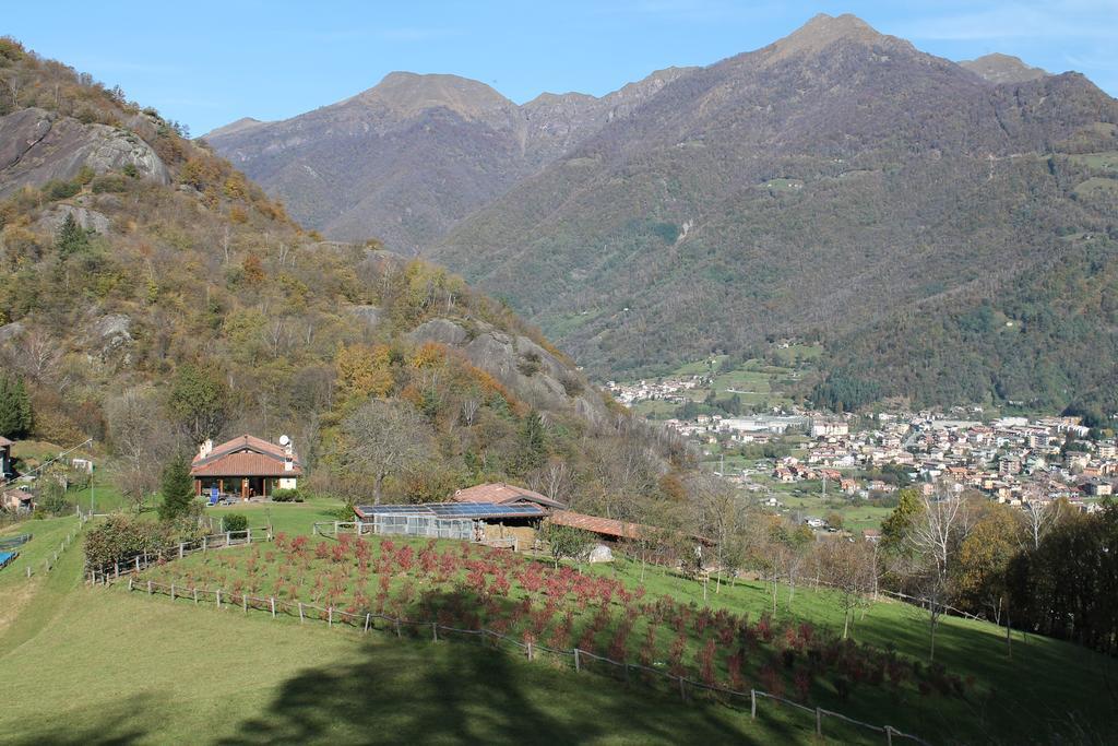 Villa Agriturismo Il Mirtillo B,B Pasturo Exterior foto