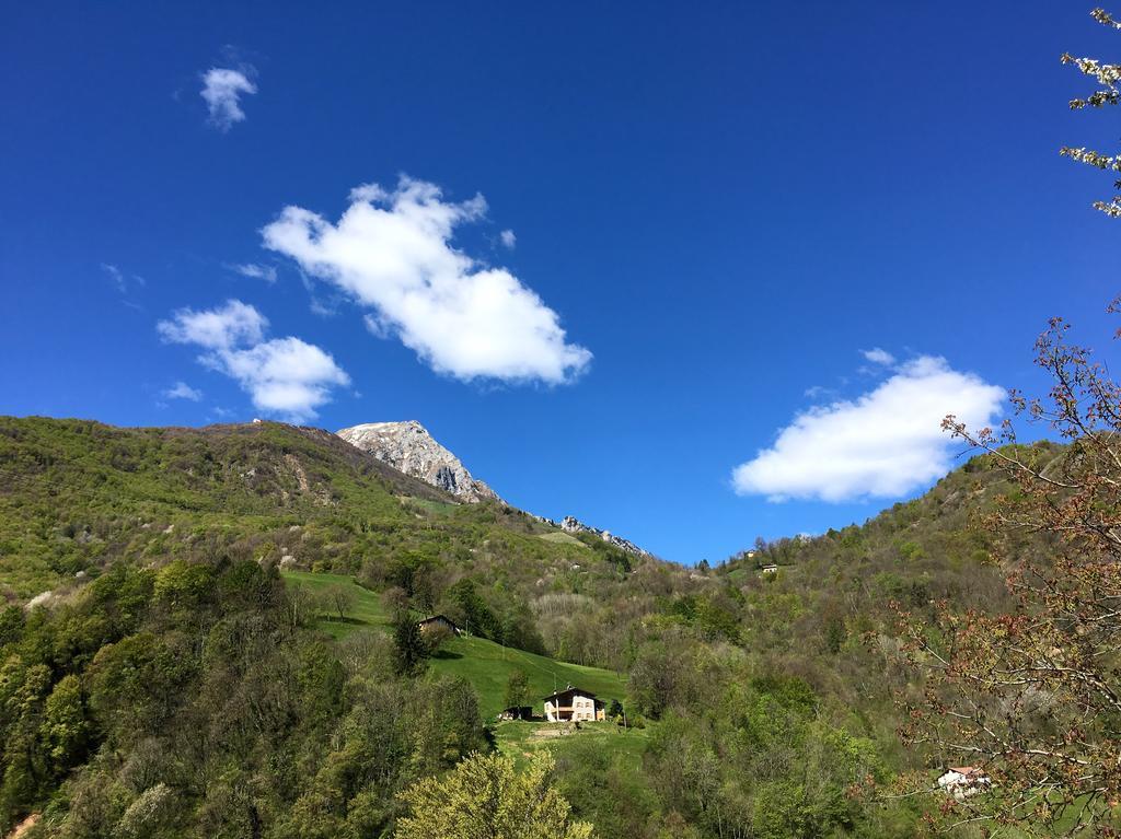 Villa Agriturismo Il Mirtillo B,B Pasturo Exterior foto